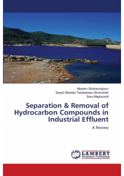 Separation & Removal of Hydrocarbon Compounds in Industrial Effluent