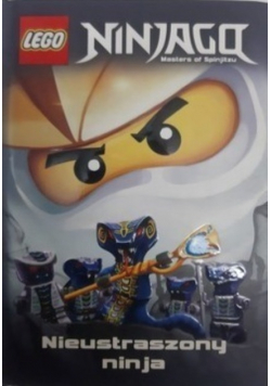 Lego Ninjago Nieustraszony ninja