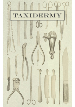 Taxidermy