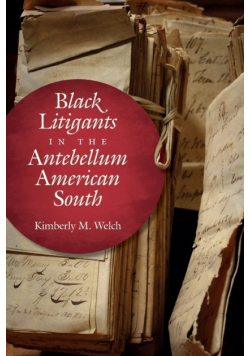 Black Litigants in the Antebellum American South