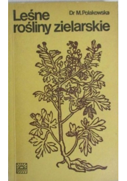 Leśne rośliny zielarskie
