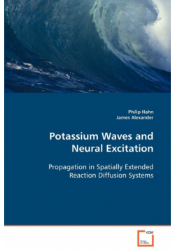 Potassium Waves and Neural Excitation