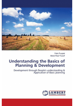 Understanding the Basics of Planning & Development