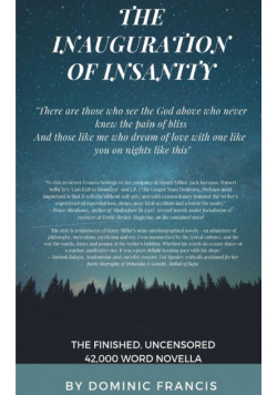 The Inauguration of Insanity (an erotic novella)