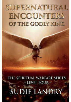 Supernatural Encounters of the Godly Kind - The Spiritual Warfare Series - Level Four