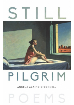 Still Pilgrim