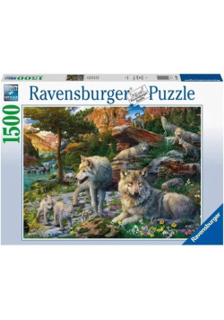 Puzzle 1500 Wiosenne wilki