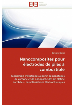 Nanocomposites pour électrodes de piles à combustible