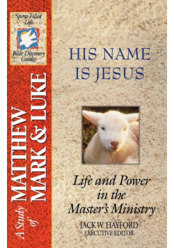 The Spirit-Filled Life Bible Discovery Series