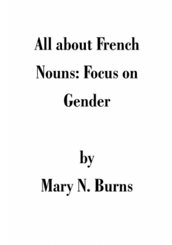 All about French Nouns