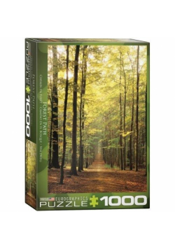 Puzzle 1000 Ścieżka w lesie
