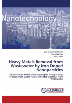 Heavy Metals Removal from Wastewater by Iron Doped Nanoparticles