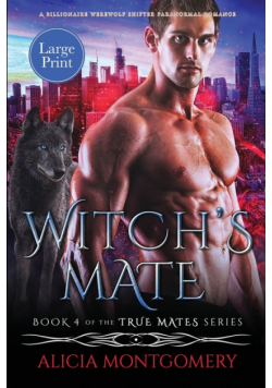 Witch's Mate (Large Print)