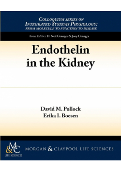Endothelin in the Kidney