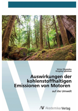 Auswirkungen der kohlenstoffhaltigen Emissionen von Motoren