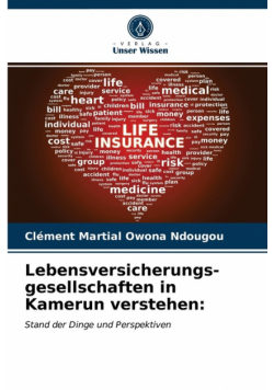Lebensversicherungs- gesellschaften in Kamerun verstehen
