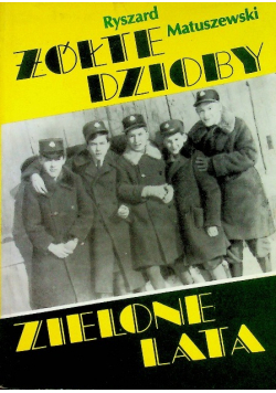Żółte dzioby zielone lata