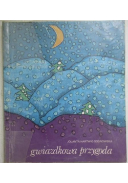 Gwiazdkowa przygoda