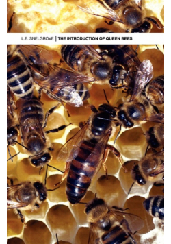 The Introduction of Queen Bees