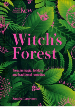 Witch's Forest