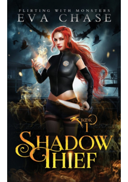 Shadow Thief