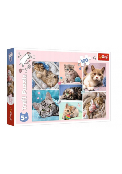Puzzle 100 W kocim świecie TREFL
