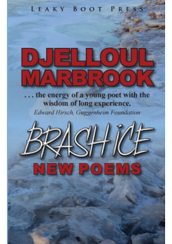 Brash Ice