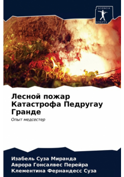 Лесной пожар Катастрофа Педругау Гранде