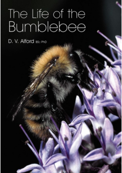 The Life of the bumblebee