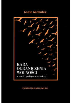 Kara ograniczenia wolności w teorii i praktyce orzeczniczej