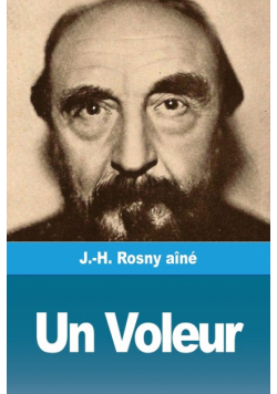 Un Voleur