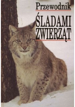 Śladami zwierząt