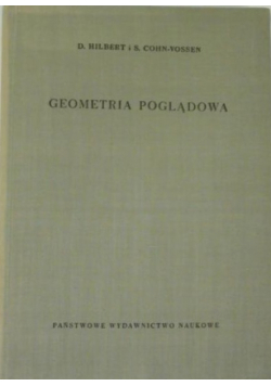 Geometria poglądowa