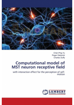 Computational model of MST neuron receptive field