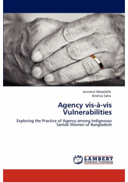 Agency VIS-A-VIS Vulnerabilities