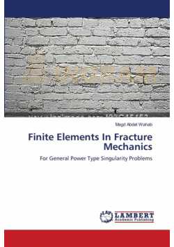 Finite Elements In Fracture Mechanics