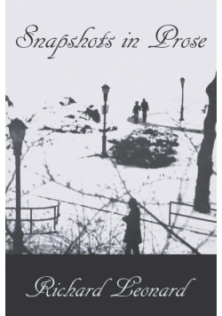 Snapshots in Prose