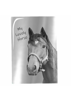 Notes/Pamiętnik Horse PP19KO-3685 PASO