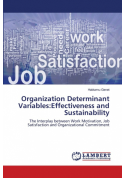 Organization Determinant Variables
