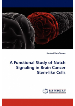 A Functional Study of Notch Signaling in Brain Cancer Stem-like Cells