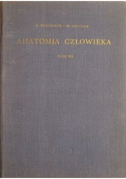 Anatomia człowieka Tom VII
