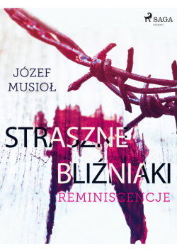 Straszne Bliźniaki. Reminiscencje