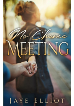 No Chance Meeting