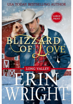 Blizzard of Love