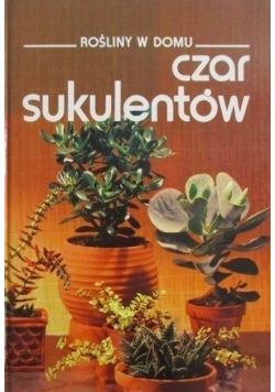 Rośliny w domu Czar sukulentów