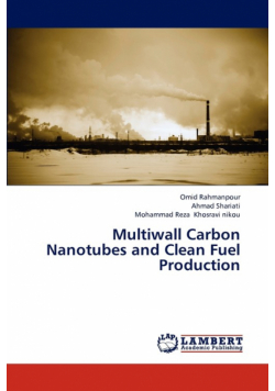 Multiwall Carbon Nanotubes and Clean Fuel Production