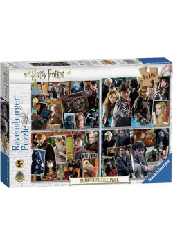 Puzzle 4x100 WB: Harry Potter Bump. Pack