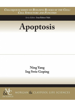 Apoptosis