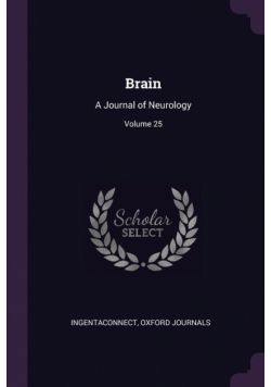 Brain