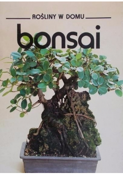 Rośliny w domu bonsai